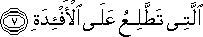 الَّتِي تَطَّلِعُ عَلَى الْأَفْئِدَةِ الَّتِي تَطَّلِعُ عَلَى الْأَفْئِدَةِ