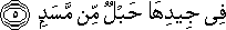 فِي جِيدِهَا حَبْلٌ مِنْ مَسَدٍ