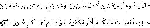 قَالَ يَا قَوْمِ أَرَأَيْتُمْ إِنْ كُنْتُ عَلَىٰ بَيِّنَةٍ مِنْ رَبِّي وَآتَانِي رَحْمَةً مِنْ عِنْدِهِ فَعُمِّيَتْ عَلَيْكُمْ أَنُلْزِمُكُمُوهَا وَأَنْتُمْ لَهَا كَارِهُونَ