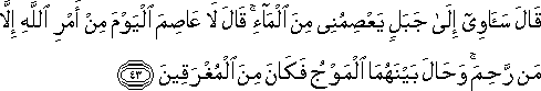 قَالَ سَآوِي إِلَىٰ جَبَلٍ يَعْصِمُنِي مِنَ الْمَاءِ ۚ قَالَ لَا عَاصِمَ الْيَوْمَ مِنْ أَمْرِ اللَّهِ إِلَّا مَنْ رَحِمَ ۚ وَحَالَ بَيْنَهُمَا الْمَوْجُ فَكَانَ مِنَ الْمُغْرَقِينَ