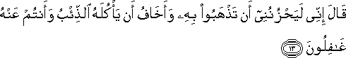 قَالَ إِنِّي لَيَحْزُنُنِي أَنْ تَذْهَبُوا بِهِ وَأَخَافُ أَنْ يَأْكُلَهُ الذِّئْبُ وَأَنْتُمْ عَنْهُ غَافِلُونَ