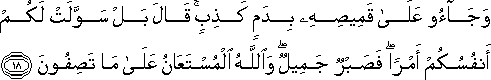 وَجَاءُوا عَلَىٰ قَمِيصِهِ بِدَمٍ كَذِبٍ ۚ قَالَ بَلْ سَوَّلَتْ لَكُمْ أَنْفُسُكُمْ أَمْرًا ۖ فَصَبْرٌ جَمِيلٌ ۖ وَاللَّهُ الْمُسْتَعَانُ عَلَىٰ مَا تَصِفُونَ