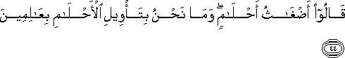 قَالُوا أَضْغَاثُ أَحْلَامٍ ۖ وَمَا نَحْنُ بِتَأْوِيلِ الْأَحْلَامِ بِعَالِمِينَ