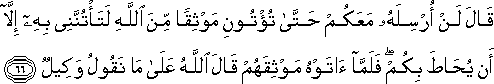 قَالَ لَنْ أُرْسِلَهُ مَعَكُمْ حَتَّىٰ تُؤْتُونِ مَوْثِقًا مِنَ اللَّهِ لَتَأْتُنَّنِي بِهِ إِلَّا أَنْ يُحَاطَ بِكُمْ ۖ فَلَمَّا آتَوْهُ مَوْثِقَهُمْ قَالَ اللَّهُ عَلَىٰ مَا نَقُولُ وَكِيلٌ