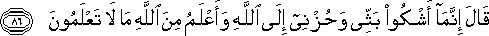 قَالَ إِنَّمَا أَشْكُو بَثِّي وَحُزْنِي إِلَى اللَّهِ وَأَعْلَمُ مِنَ اللَّهِ مَا لَا تَعْلَمُونَ