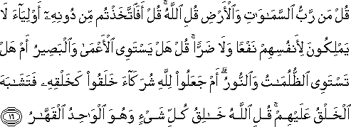 قُلْ مَنْ رَبُّ السَّمَاوَاتِ وَالْأَرْضِ قُلِ اللَّهُ ۚ قُلْ أَفَاتَّخَذْتُمْ مِنْ دُونِهِ أَوْلِيَاءَ لَا يَمْلِكُونَ لِأَنْفُسِهِمْ نَفْعًا وَلَا ضَرًّا ۚ قُلْ هَلْ يَسْتَوِي الْأَعْمَىٰ وَالْبَصِيرُ أَمْ هَلْ تَسْتَوِي الظُّلُمَاتُ وَالنُّورُ ۗ أَمْ جَعَلُوا لِلَّهِ شُرَكَاءَ خَلَقُوا كَخَلْقِهِ فَتَشَابَهَ الْخَلْقُ عَلَيْهِمْ ۚ قُلِ اللَّهُ خَالِقُ كُلِّ شَيْءٍ وَهُوَ الْوَاحِدُ الْقَهَّارُ