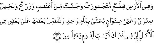 وَفِي الْأَرْضِ قِطَعٌ مُتَجَاوِرَاتٌ وَجَنَّاتٌ مِنْ أَعْنَابٍ وَزَرْعٌ وَنَخِيلٌ صِنْوَانٌ وَغَيْرُ صِنْوَانٍ يُسْقَىٰ بِمَاءٍ وَاحِدٍ وَنُفَضِّلُ بَعْضَهَا عَلَىٰ بَعْضٍ فِي الْأُكُلِ ۚ إِنَّ فِي ذَٰلِكَ لَآيَاتٍ لِقَوْمٍ يَعْقِلُونَ