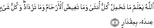 اللَّهُ يَعْلَمُ مَا تَحْمِلُ كُلُّ أُنْثَىٰ وَمَا تَغِيضُ الْأَرْحَامُ وَمَا تَزْدَادُ ۖ وَكُلُّ شَيْءٍ عِنْدَهُ بِمِقْدَارٍ