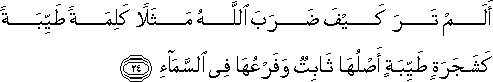 أَلَمْ تَرَ كَيْفَ ضَرَبَ اللَّهُ مَثَلًا كَلِمَةً طَيِّبَةً كَشَجَرَةٍ طَيِّبَةٍ أَصْلُهَا ثَابِتٌ وَفَرْعُهَا فِي السَّمَاءِ