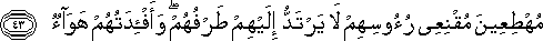 مُهْطِعِينَ مُقْنِعِي رُءُوسِهِمْ لَا يَرْتَدُّ إِلَيْهِمْ طَرْفُهُمْ ۖ وَأَفْئِدَتُهُمْ هَوَاءٌ