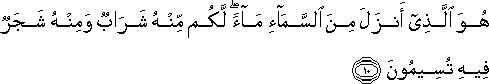 هُوَ الَّذِي أَنْزَلَ مِنَ السَّمَاءِ مَاءً ۖ لَكُمْ مِنْهُ شَرَابٌ وَمِنْهُ شَجَرٌ فِيهِ تُسِيمُونَ