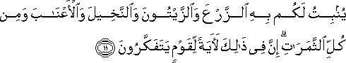 يُنْبِتُ لَكُمْ بِهِ الزَّرْعَ وَالزَّيْتُونَ وَالنَّخِيلَ وَالْأَعْنَابَ وَمِنْ كُلِّ الثَّمَرَاتِ ۗ إِنَّ فِي ذَٰلِكَ لَآيَةً لِقَوْمٍ يَتَفَكَّرُونَ