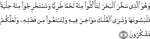 وَهُوَ الَّذِي سَخَّرَ الْبَحْرَ لِتَأْكُلُوا مِنْهُ لَحْمًا طَرِيًّا وَتَسْتَخْرِجُوا مِنْهُ حِلْيَةً تَلْبَسُونَهَا وَتَرَى الْفُلْكَ مَوَاخِرَ فِيهِ وَلِتَبْتَغُوا مِنْ فَضْلِهِ وَلَعَلَّكُمْ تَشْكُرُونَ