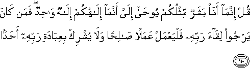 قُلْ إِنَّمَا أَنَا بَشَرٌ مِثْلُكُمْ يُوحَىٰ إِلَيَّ أَنَّمَا إِلَٰهُكُمْ إِلَٰهٌ وَاحِدٌ ۖ فَمَنْ كَانَ يَرْجُو لِقَاءَ رَبِّهِ فَلْيَعْمَلْ عَمَلًا صَالِحًا وَلَا يُشْرِكْ بِعِبَادَةِ رَبِّهِ أَحَدًا