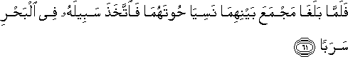 فَلَمَّا بَلَغَا مَجْمَعَ بَيْنِهِمَا نَسِيَا حُوتَهُمَا فَاتَّخَذَ سَبِيلَهُ فِي الْبَحْرِ سَرَبًا