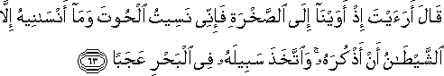 قَالَ أَرَأَيْتَ إِذْ أَوَيْنَا إِلَى الصَّخْرَةِ فَإِنِّي نَسِيتُ الْحُوتَ وَمَا أَنْسَانِيهُ إِلَّا الشَّيْطَانُ أَنْ أَذْكُرَهُ ۚ وَاتَّخَذَ سَبِيلَهُ فِي الْبَحْرِ عَجَبًا