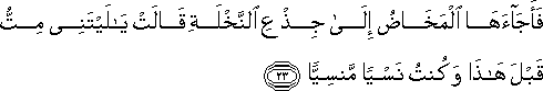 فَأَجَاءَهَا الْمَخَاضُ إِلَىٰ جِذْعِ النَّخْلَةِ قَالَتْ يَا لَيْتَنِي مِتُّ قَبْلَ هَٰذَا وَكُنْتُ نَسْيًا مَنْسِيًّا