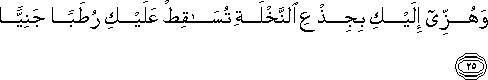 وَهُزِّي إِلَيْكِ بِجِذْعِ النَّخْلَةِ تُسَاقِطْ عَلَيْكِ رُطَبًا جَنِيًّا