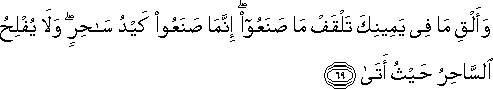 وَأَلْقِ مَا فِي يَمِينِكَ تَلْقَفْ مَا صَنَعُوا ۖ إِنَّمَا صَنَعُوا كَيْدُ سَاحِرٍ ۖ وَلَا يُفْلِحُ السَّاحِرُ حَيْثُ أَتَىٰ