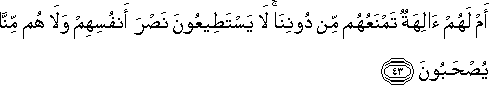 أَمْ لَهُمْ آلِهَةٌ تَمْنَعُهُمْ مِنْ دُونِنَا ۚ لَا يَسْتَطِيعُونَ نَصْرَ أَنْفُسِهِمْ وَلَا هُمْ مِنَّا يُصْحَبُونَ