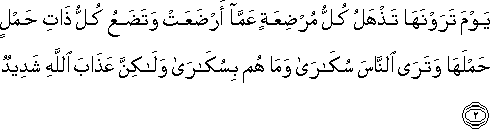 يَوْمَ تَرَوْنَهَا تَذْهَلُ كُلُّ مُرْضِعَةٍ عَمَّا أَرْضَعَتْ وَتَضَعُ كُلُّ ذَاتِ حَمْلٍ حَمْلَهَا وَتَرَى النَّاسَ سُكَارَىٰ وَمَا هُمْ بِسُكَارَىٰ وَلَٰكِنَّ عَذَابَ اللَّهِ شَدِيدٌ