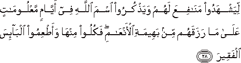 لِيَشْهَدُوا مَنَافِعَ لَهُمْ وَيَذْكُرُوا اسْمَ اللَّهِ فِي أَيَّامٍ مَعْلُومَاتٍ عَلَىٰ مَا رَزَقَهُمْ مِنْ بَهِيمَةِ الْأَنْعَامِ ۖ فَكُلُوا مِنْهَا وَأَطْعِمُوا الْبَائِسَ الْفَقِيرَ