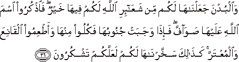 وَالْبُدْنَ جَعَلْنَاهَا لَكُمْ مِنْ شَعَائِرِ اللَّهِ لَكُمْ فِيهَا خَيْرٌ ۖ فَاذْكُرُوا اسْمَ اللَّهِ عَلَيْهَا صَوَافَّ ۖ فَإِذَا وَجَبَتْ جُنُوبُهَا فَكُلُوا مِنْهَا وَأَطْعِمُوا الْقَانِعَ وَالْمُعْتَرَّ ۚ كَذَٰلِكَ سَخَّرْنَاهَا لَكُمْ لَعَلَّكُمْ تَشْكُرُونَ