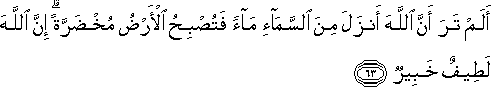 أَلَمْ تَرَ أَنَّ اللَّهَ أَنْزَلَ مِنَ السَّمَاءِ مَاءً فَتُصْبِحُ الْأَرْضُ مُخْضَرَّةً ۗ إِنَّ اللَّهَ لَطِيفٌ خَبِيرٌ