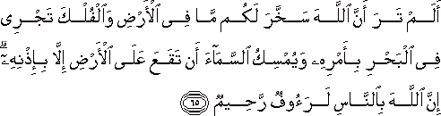 أَلَمْ تَرَ أَنَّ اللَّهَ سَخَّرَ لَكُمْ مَا فِي الْأَرْضِ وَالْفُلْكَ تَجْرِي فِي الْبَحْرِ بِأَمْرِهِ وَيُمْسِكُ السَّمَاءَ أَنْ تَقَعَ عَلَى الْأَرْضِ إِلَّا بِإِذْنِهِ ۗ إِنَّ اللَّهَ بِالنَّاسِ لَرَءُوفٌ رَحِيمٌ