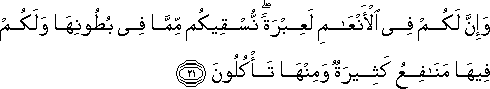 وَإِنَّ لَكُمْ فِي الْأَنْعَامِ لَعِبْرَةً ۖ نُسْقِيكُمْ مِمَّا فِي بُطُونِهَا وَلَكُمْ فِيهَا مَنَافِعُ كَثِيرَةٌ وَمِنْهَا تَأْكُلُونَ