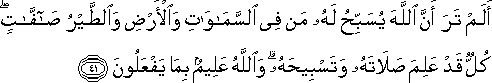 أَلَمْ تَرَ أَنَّ اللَّهَ يُسَبِّحُ لَهُ مَنْ فِي السَّمَاوَاتِ وَالْأَرْضِ وَالطَّيْرُ صَافَّاتٍ ۖ كُلٌّ قَدْ عَلِمَ صَلَاتَهُ وَتَسْبِيحَهُ ۗ وَاللَّهُ عَلِيمٌ بِمَا يَفْعَلُونَ