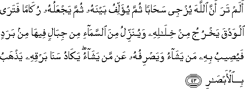 أَلَمْ تَرَ أَنَّ اللَّهَ يُزْجِي سَحَابًا ثُمَّ يُؤَلِّفُ بَيْنَهُ ثُمَّ يَجْعَلُهُ رُكَامًا فَتَرَى الْوَدْقَ يَخْرُجُ مِنْ خِلَالِهِ وَيُنَزِّلُ مِنَ السَّمَاءِ مِنْ جِبَالٍ فِيهَا مِنْ بَرَدٍ فَيُصِيبُ بِهِ مَنْ يَشَاءُ وَيَصْرِفُهُ عَنْ مَنْ يَشَاءُ ۖ يَكَادُ سَنَا بَرْقِهِ يَذْهَبُ بِالْأَبْصَارِ