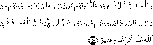 وَاللَّهُ خَلَقَ كُلَّ دَابَّةٍ مِنْ مَاءٍ ۖ فَمِنْهُمْ مَنْ يَمْشِي عَلَىٰ بَطْنِهِ وَمِنْهُمْ مَنْ يَمْشِي عَلَىٰ رِجْلَيْنِ وَمِنْهُمْ مَنْ يَمْشِي عَلَىٰ أَرْبَعٍ ۚ يَخْلُقُ اللَّهُ مَا يَشَاءُ ۚ إِنَّ اللَّهَ عَلَىٰ كُلِّ شَيْءٍ قَدِيرٌ