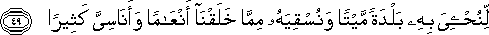 لِنُحْيِيَ بِهِ بَلْدَةً مَيْتًا وَنُسْقِيَهُ مِمَّا خَلَقْنَا أَنْعَامًا وَأَنَاسِيَّ كَثِيرًا