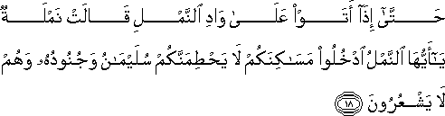 حَتَّىٰ إِذَا أَتَوْا عَلَىٰ وَادِ النَّمْلِ قَالَتْ نَمْلَةٌ يَا أَيُّهَا النَّمْلُ ادْخُلُوا مَسَاكِنَكُمْ لَا يَحْطِمَنَّكُمْ سُلَيْمَانُ وَجُنُودُهُ وَهُمْ لَا يَشْعُرُونَ