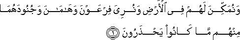 وَنُمَكِّنَ لَهُمْ فِي الْأَرْضِ وَنُرِيَ فِرْعَوْنَ وَهَامَانَ وَجُنُودَهُمَا مِنْهُمْ مَا كَانُوا يَحْذَرُونَ