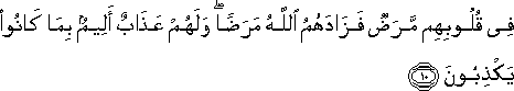 فِي قُلُوبِهِمْ مَرَضٌ فَزَادَهُمُ اللَّهُ مَرَضًا ۖ وَلَهُمْ عَذَابٌ أَلِيمٌ بِمَا كَانُوا يَكْذِبُونَ