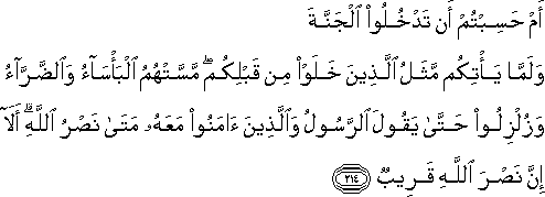 أَمْ حَسِبْتُمْ أَنْ تَدْخُلُوا الْجَنَّةَ وَلَمَّا يَأْتِكُمْ مَثَلُ الَّذِينَ خَلَوْا مِنْ قَبْلِكُمْ ۖ مَسَّتْهُمُ الْبَأْسَاءُ وَالضَّرَّاءُ وَزُلْزِلُوا حَتَّىٰ يَقُولَ الرَّسُولُ وَالَّذِينَ آمَنُوا مَعَهُ مَتَىٰ نَصْرُ اللَّهِ ۗ أَلَا إِنَّ نَصْرَ اللَّهِ قَرِيبٌ