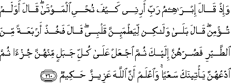 وَإِذْ قَالَ إِبْرَاهِيمُ رَبِّ أَرِنِي كَيْفَ تُحْيِي الْمَوْتَىٰ ۖ قَالَ أَوَلَمْ تُؤْمِنْ ۖ قَالَ بَلَىٰ وَلَٰكِنْ لِيَطْمَئِنَّ قَلْبِي ۖ قَالَ فَخُذْ أَرْبَعَةً مِنَ الطَّيْرِ فَصُرْهُنَّ إِلَيْكَ ثُمَّ اجْعَلْ عَلَىٰ كُلِّ جَبَلٍ مِنْهُنَّ جُزْءًا ثُمَّ ادْعُهُنَّ يَأْتِينَكَ سَعْيًا ۚ وَاعْلَمْ أَنَّ اللَّهَ عَزِيزٌ حَكِيمٌ