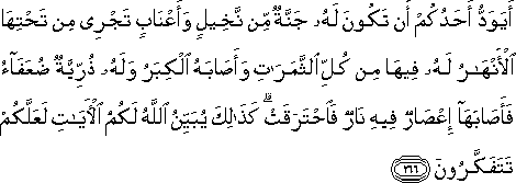 أَيَوَدُّ أَحَدُكُمْ أَنْ تَكُونَ لَهُ جَنَّةٌ مِنْ نَخِيلٍ وَأَعْنَابٍ تَجْرِي مِنْ تَحْتِهَا الْأَنْهَارُ لَهُ فِيهَا مِنْ كُلِّ الثَّمَرَاتِ وَأَصَابَهُ الْكِبَرُ وَلَهُ ذُرِّيَّةٌ ضُعَفَاءُ فَأَصَابَهَا إِعْصَارٌ فِيهِ نَارٌ فَاحْتَرَقَتْ ۗ كَذَٰلِكَ يُبَيِّنُ اللَّهُ لَكُمُ الْآيَاتِ لَعَلَّكُمْ تَتَفَكَّرُونَ