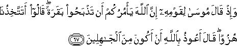 وَإِذْ قَالَ مُوسَىٰ لِقَوْمِهِ إِنَّ اللَّهَ يَأْمُرُكُمْ أَنْ تَذْبَحُوا بَقَرَةً ۖ قَالُوا أَتَتَّخِذُنَا هُزُوًا ۖ قَالَ أَعُوذُ بِاللَّهِ أَنْ أَكُونَ مِنَ الْجَاهِلِينَ