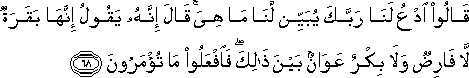 قَالُوا ادْعُ لَنَا رَبَّكَ يُبَيِّنْ لَنَا مَا هِيَ ۚ قَالَ إِنَّهُ يَقُولُ إِنَّهَا بَقَرَةٌ لَا فَارِضٌ وَلَا بِكْرٌ عَوَانٌ بَيْنَ ذَٰلِكَ ۖ فَافْعَلُوا مَا تُؤْمَرُونَ