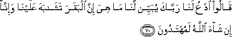 قَالُوا ادْعُ لَنَا رَبَّكَ يُبَيِّنْ لَنَا مَا هِيَ إِنَّ الْبَقَرَ تَشَابَهَ عَلَيْنَا وَإِنَّا إِنْ شَاءَ اللَّهُ لَمُهْتَدُونَ