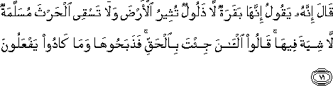 قَالَ إِنَّهُ يَقُولُ إِنَّهَا بَقَرَةٌ لَا ذَلُولٌ تُثِيرُ الْأَرْضَ وَلَا تَسْقِي الْحَرْثَ مُسَلَّمَةٌ لَا شِيَةَ فِيهَا ۚ قَالُوا الْآنَ جِئْتَ بِالْحَقِّ ۚ فَذَبَحُوهَا وَمَا كَادُوا يَفْعَلُونَ