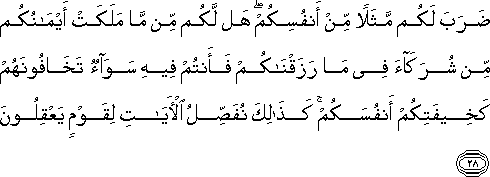 ضَرَبَ لَكُمْ مَثَلًا مِنْ أَنْفُسِكُمْ ۖ هَلْ لَكُمْ مِنْ مَا مَلَكَتْ أَيْمَانُكُمْ مِنْ شُرَكَاءَ فِي مَا رَزَقْنَاكُمْ فَأَنْتُمْ فِيهِ سَوَاءٌ تَخَافُونَهُمْ كَخِيفَتِكُمْ أَنْفُسَكُمْ ۚ كَذَٰلِكَ نُفَصِّلُ الْآيَاتِ لِقَوْمٍ يَعْقِلُونَ