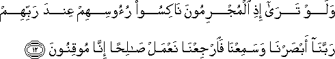 وَلَوْ تَرَىٰ إِذِ الْمُجْرِمُونَ نَاكِسُو رُءُوسِهِمْ عِنْدَ رَبِّهِمْ رَبَّنَا أَبْصَرْنَا وَسَمِعْنَا فَارْجِعْنَا نَعْمَلْ صَالِحًا إِنَّا مُوقِنُونَ