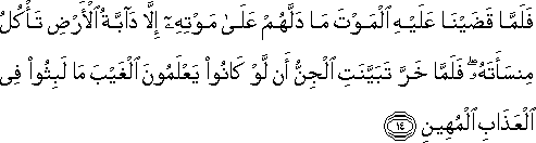 فَلَمَّا قَضَيْنَا عَلَيْهِ الْمَوْتَ مَا دَلَّهُمْ عَلَىٰ مَوْتِهِ إِلَّا دَابَّةُ الْأَرْضِ تَأْكُلُ مِنْسَأَتَهُ ۖ فَلَمَّا خَرَّ تَبَيَّنَتِ الْجِنُّ أَنْ لَوْ كَانُوا يَعْلَمُونَ الْغَيْبَ مَا لَبِثُوا فِي الْعَذَابِ الْمُهِينِ