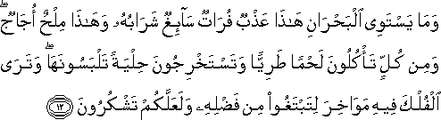 وَمَا يَسْتَوِي الْبَحْرَانِ هَٰذَا عَذْبٌ فُرَاتٌ سَائِغٌ شَرَابُهُ وَهَٰذَا مِلْحٌ أُجَاجٌ ۖ وَمِنْ كُلٍّ تَأْكُلُونَ لَحْمًا طَرِيًّا وَتَسْتَخْرِجُونَ حِلْيَةً تَلْبَسُونَهَا ۖ وَتَرَى الْفُلْكَ فِيهِ مَوَاخِرَ لِتَبْتَغُوا مِنْ فَضْلِهِ وَلَعَلَّكُمْ تَشْكُرُونَ