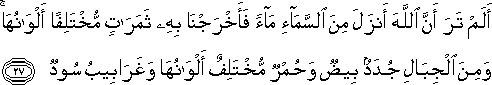 أَلَمْ تَرَ أَنَّ اللَّهَ أَنْزَلَ مِنَ السَّمَاءِ مَاءً فَأَخْرَجْنَا بِهِ ثَمَرَاتٍ مُخْتَلِفًا أَلْوَانُهَا ۚ وَمِنَ الْجِبَالِ جُدَدٌ بِيضٌ وَحُمْرٌ مُخْتَلِفٌ أَلْوَانُهَا وَغَرَابِيبُ سُودٌ