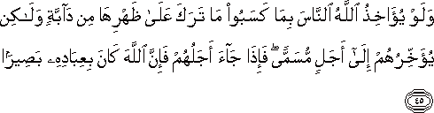 وَلَوْ يُؤَاخِذُ اللَّهُ النَّاسَ بِمَا كَسَبُوا مَا تَرَكَ عَلَىٰ ظَهْرِهَا مِنْ دَابَّةٍ وَلَٰكِنْ يُؤَخِّرُهُمْ إِلَىٰ أَجَلٍ مُسَمًّى ۖ فَإِذَا جَاءَ أَجَلُهُمْ فَإِنَّ اللَّهَ كَانَ بِعِبَادِهِ بَصِيرًا وَلَوْ يُؤَاخِذُ اللَّهُ النَّاسَ بِمَا كَسَبُوا مَا تَرَكَ عَلَىٰ ظَهْرِهَا مِنْ دَابَّةٍ وَلَٰكِنْ يُؤَخِّرُهُمْ إِلَىٰ أَجَلٍ مُسَمًّى ۖ فَإِذَا جَاءَ أَجَلُهُمْ فَإِنَّ اللَّهَ كَانَ بِعِبَادِهِ بَصِيرًا